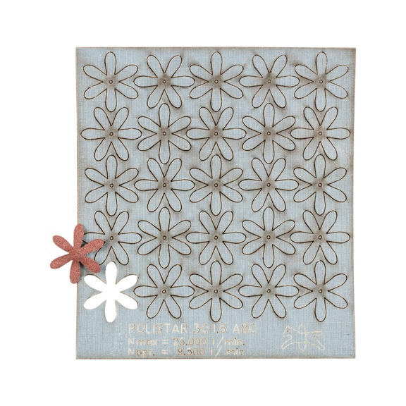 PFERD POLISTAR PST diameter 30mm bore diameter 1.6 mm A80 - Abrasive tool made of abrasive on a base