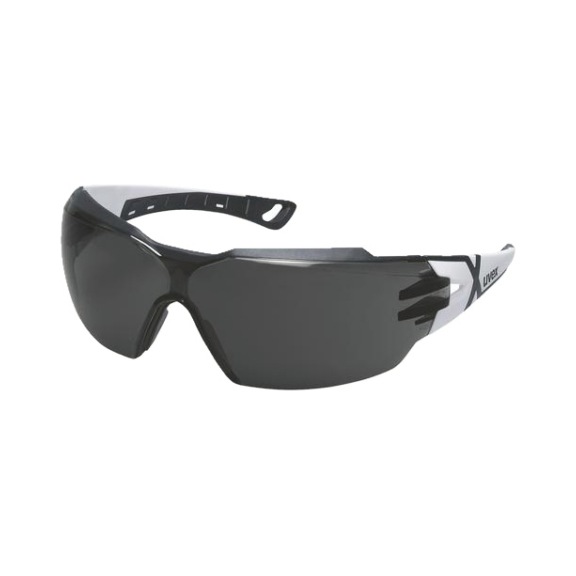 UVEX uvex pheos cx2 gray 14% sv exc. 9198230 - Safety goggles