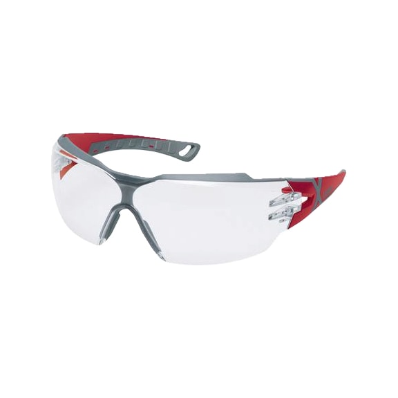 UVEX uvex pheos cx2 colorless sv exc. 9198258 - Safety goggles