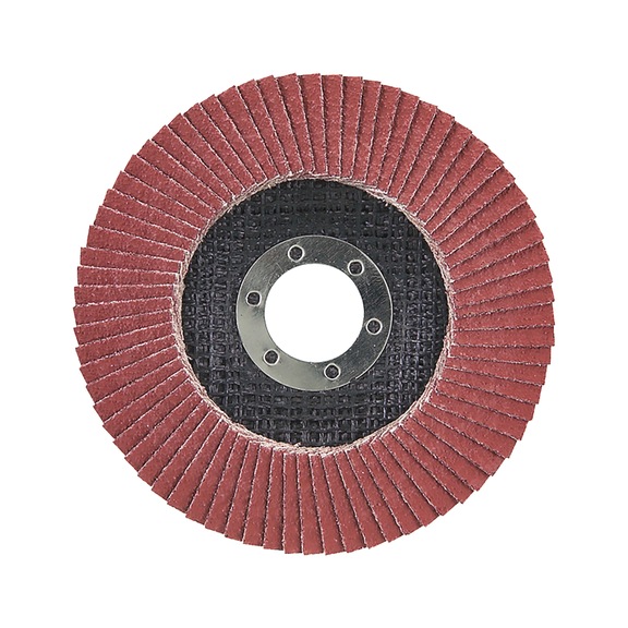 MAKITA serrated lock washer diameter 125 mm CE80 flat D-28519 - Flap discs