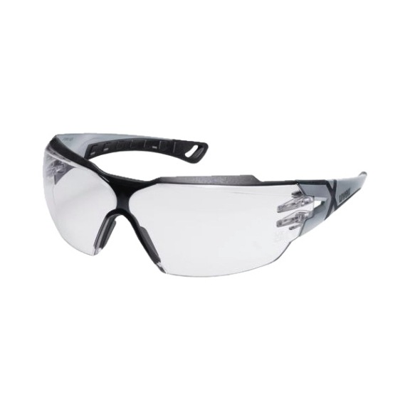 Temples pheos cx2 colourless sv exc. 9198013 - Safety goggles