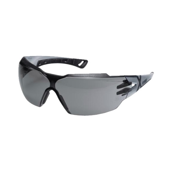 Temples pheos cx2 grey 23% sv exc. 9198014 - Safety goggles