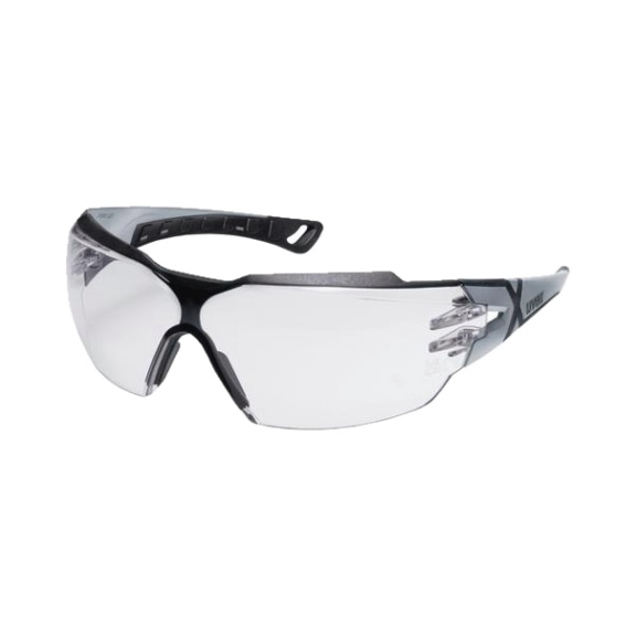 Temples pheos cx2 colourless sv ext. 9198376 - Safety goggles