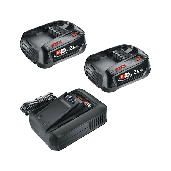 Starter set 18V (2x2.5 Ah + AL 18V-44) 1600A031T5 - Battery pack