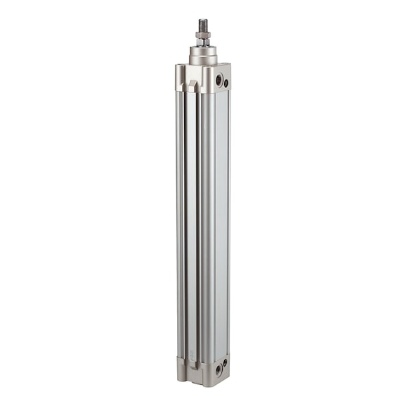 RIEGLER Standard cylinder (pneumatics, unspecified)