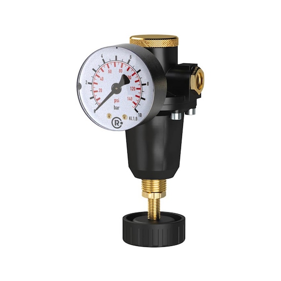 Constant pressure regulator with pressure gauge 100874 - Pressure regulator with pressure gauge