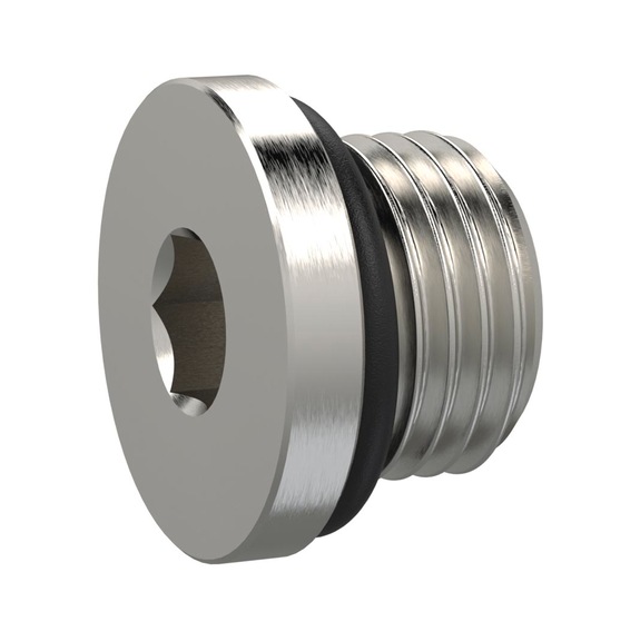 Hexagon socket screw 111411 - Screw plug (pneumatics)