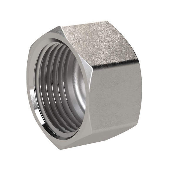 Hexagonal cap stainless steel 1.4408 118654 - Cap (fitting, installation)