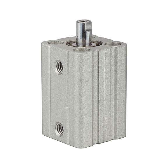 RIEGLER Short-stroke cylinder (pneumatics)