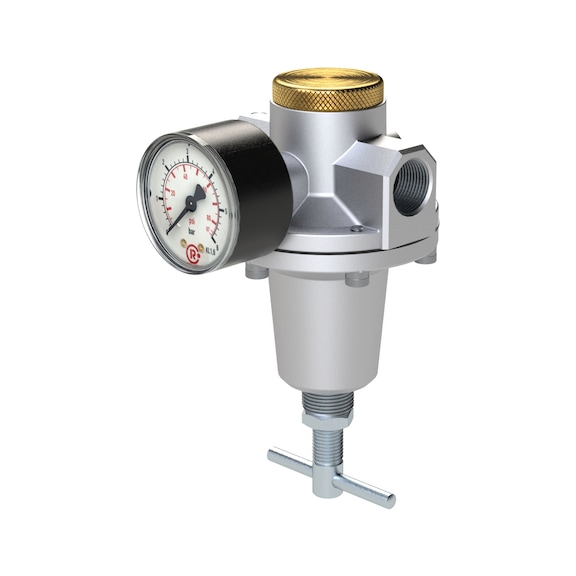Constant pressure regulator with pressure gauge 147501 - Pressure regulator with pressure gauge