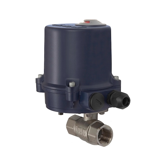 RIEGLER 2-way brass ball valve with electric actuator 103696 - Ball valve (with actuator)