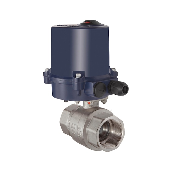 RIEGLER 2-way brass ball valve with electric actuator 103705 - Ball valve (with actuator)