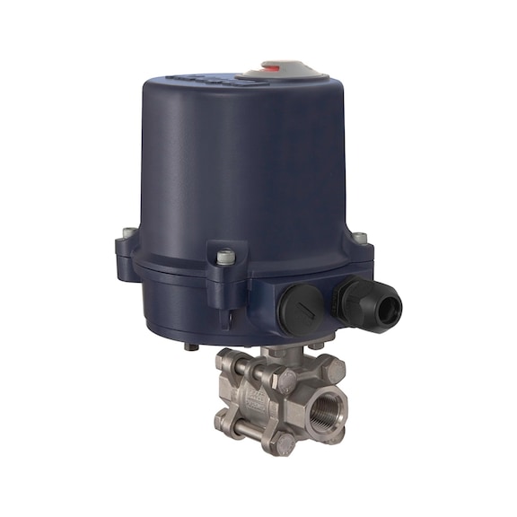 RIEGLER 2-way stainless steel ball valve with electric actuator 103713 - Ball valve (with actuator)