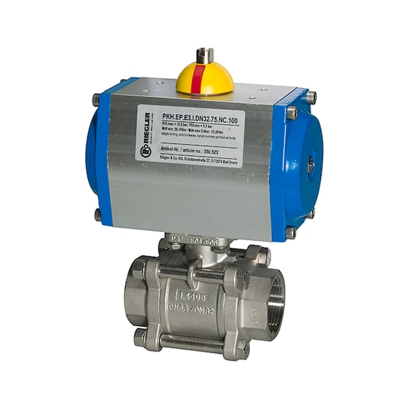 RIEGLER 2-way stainless steel ball valve pneumatic actuator single-acting 103606 - Ball valve (with actuator)