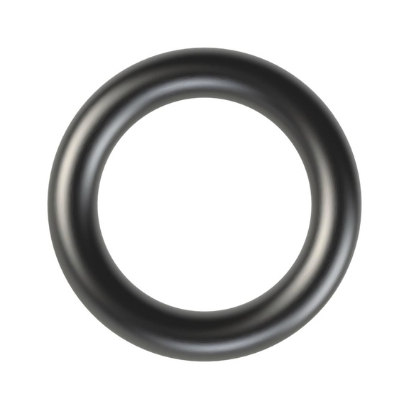 Ersatzdichtung für Flaschendruckregler 300 bar 155238 - Pneumatik (Zubehör, Sonstiges)