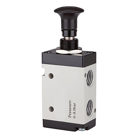 RIEGLER 3/2-way valve with push button actuation 115976 - Directional control valve (pneumatics, unspecified)
