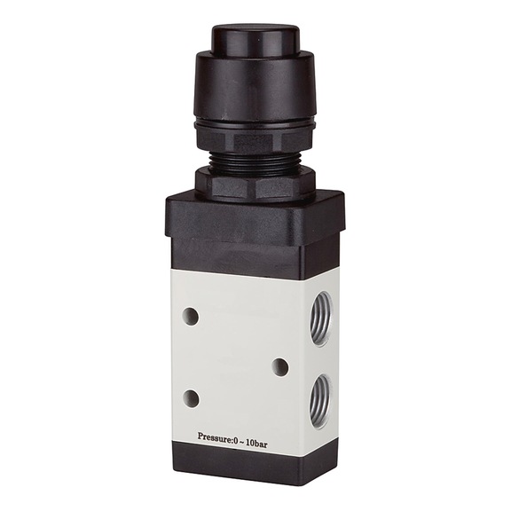 RIEGLER 3/2-way valve manually operated push button 115997 - Directional control valve (pneumatics, unspecified)