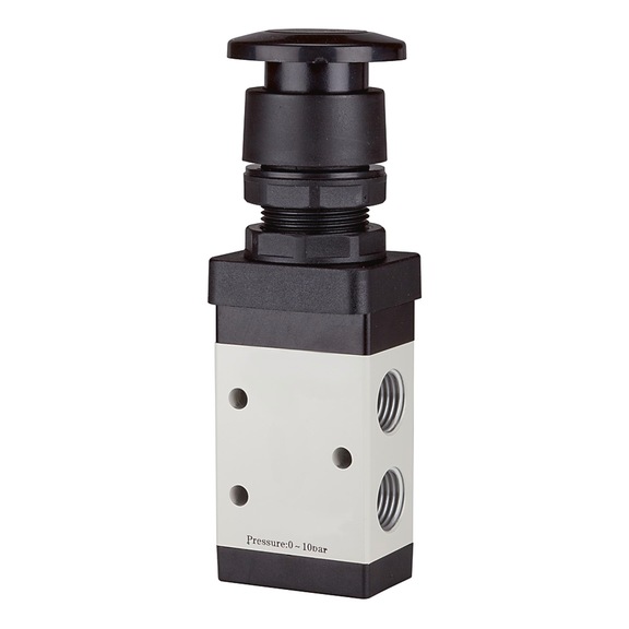 RIEGLER 3/2-way valve manual mushroom button 116006 - Directional control valve (pneumatics, unspecified)
