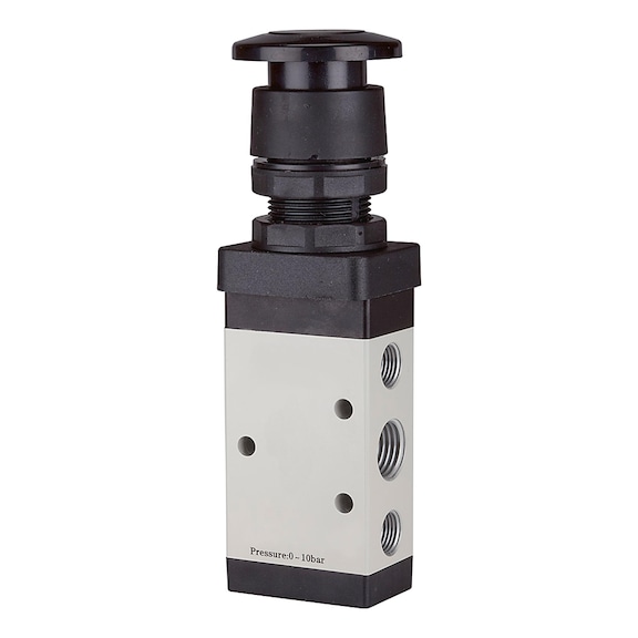 RIEGLER 5/2-way valve manual mushroom button 116015 - Directional control valve (pneumatics, unspecified)