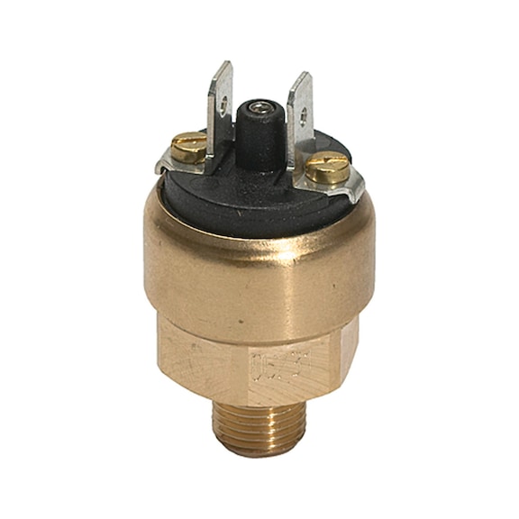RIEGLER Pressure switch, mini version, brass, normally open 103016 - Pressure monitoring equipment