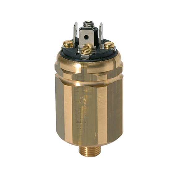 RIEGLER Vacuum pressure switch, brass, changeover contact 103011 - Pressure monitoring equipment