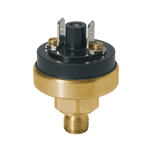 RIEGLER Pressure switch, low pressure range, brass, normally open 103071 - Pressure monitoring equipment