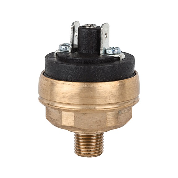 RIEGLER Pressure switch low pressure range brass normally closed 103072 - Pressure monitoring equipment
