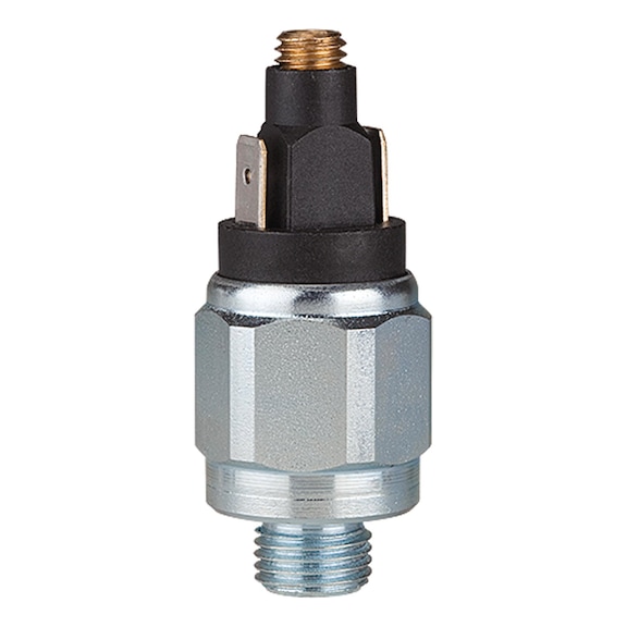 RIEGLER Pressure switch, standard version, galvanised steel, normally open 102994 - Pressure monitoring equipment