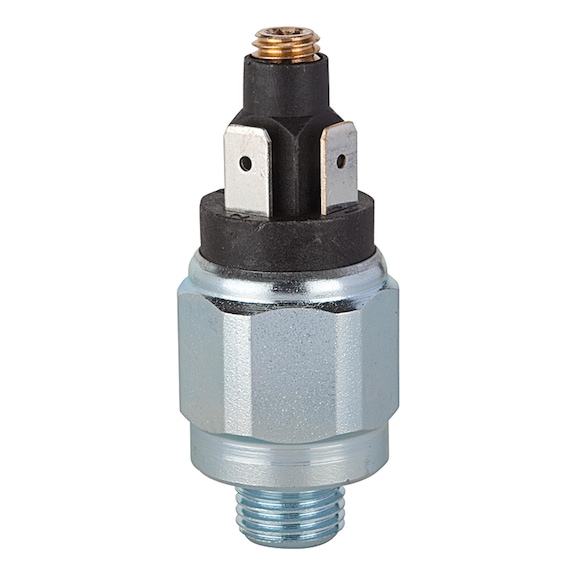 RIEGLER Pressure switch, standard version, galvanised steel, normally closed 102999 - Pressure monitoring equipment