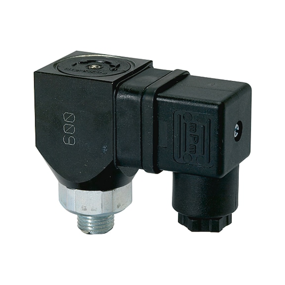 RIEGLER Pressure switch changeover contact version, rotatable, galvanised 103019 - Pressure monitoring equipment