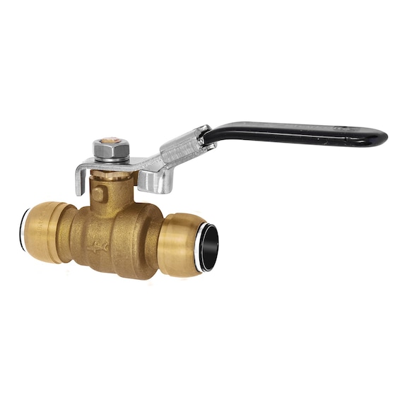 RIEGLER Ball valve (pneumatics)