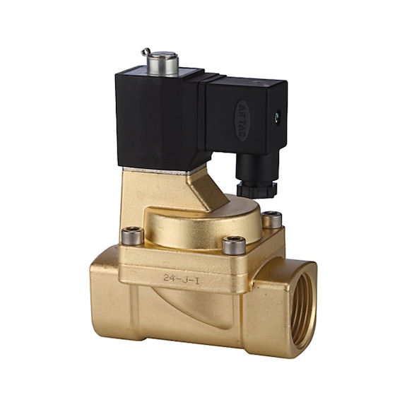 RIEGLER 2/2-way solenoid valve brass pilot-operated 116569 - Solenoid valve pilot operated