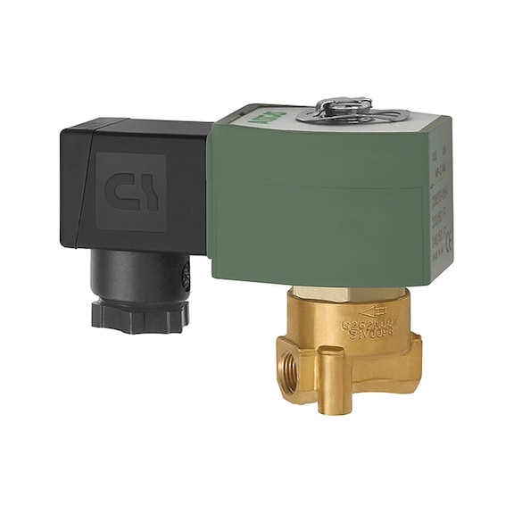 RIEGLER 2/2-way solenoid valve brass direct-acting 102829 - Solenoid valve direct operated