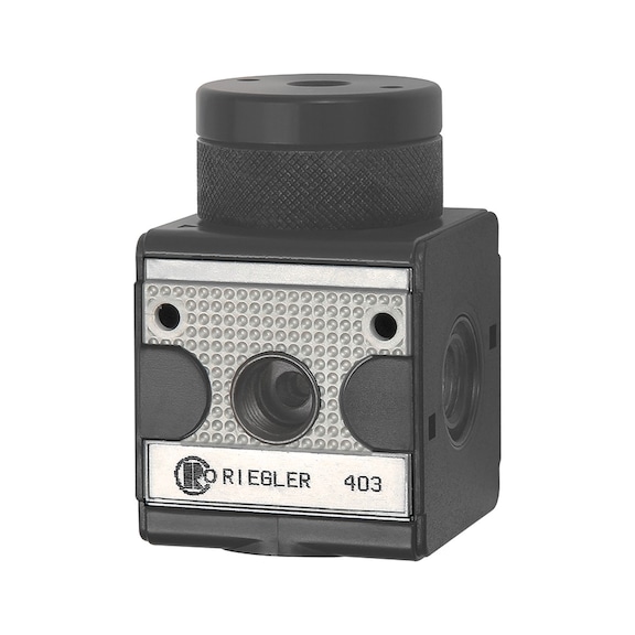 RIEGLER Pneumatically remote-controlled multifix pressure regulator without pressure gauge 100462 - Standard air regulator (pneumatics)