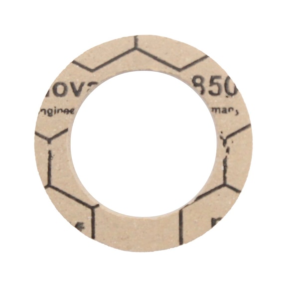 RIEGLER Flat gasket (unspecified)