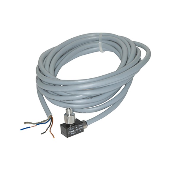 RIEGLER Vacuum sensor 108422 - Vacuum switch
