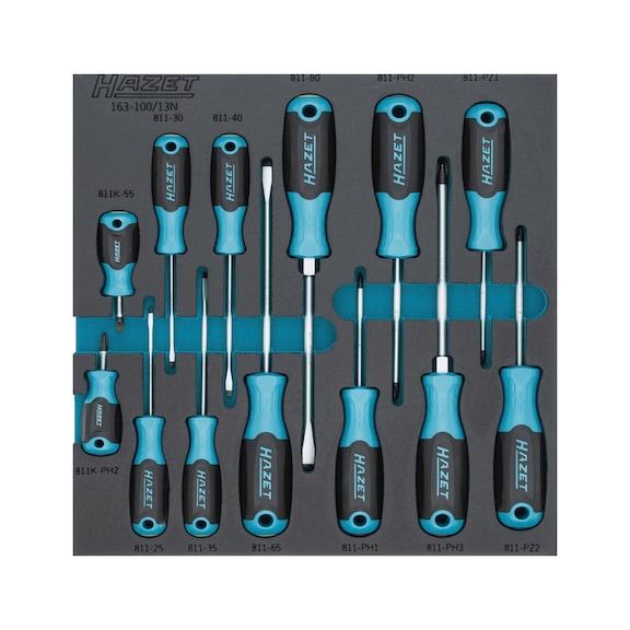 HAZET Screwdriver set 163-100/13N, 13-piece - Tool assortment