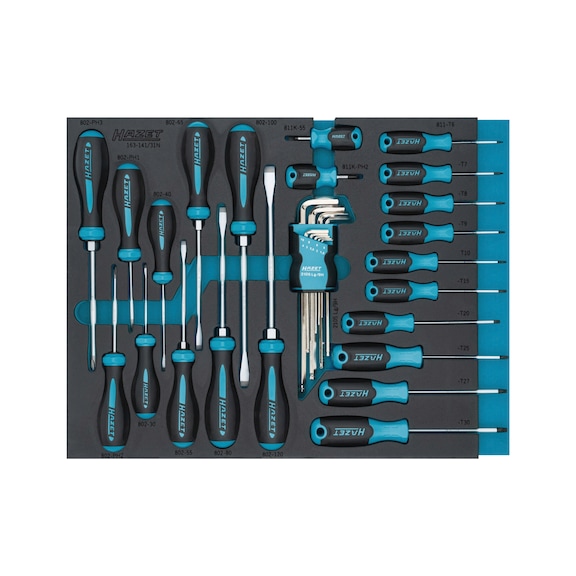 Screwdriver set 163-141/31N 31-piece - Screwdriver set
