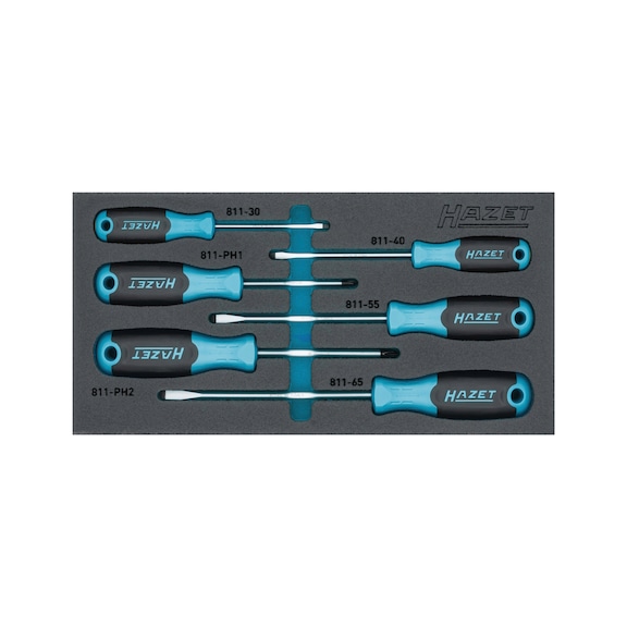 Screwdriver set 163-265/6N 6-piece - Screwdriver set