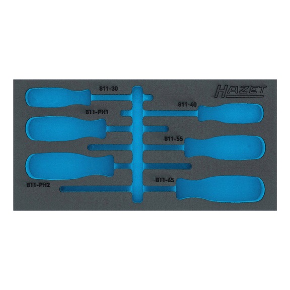 2-Komponenten Weichschaumeinlage 163-265LN - Einlage für Werkstattwagen