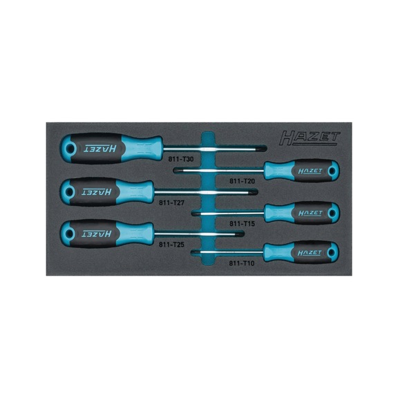 Screwdriver set TX 163-266/6N Internal TX profile 6-piece - Screwdriver set