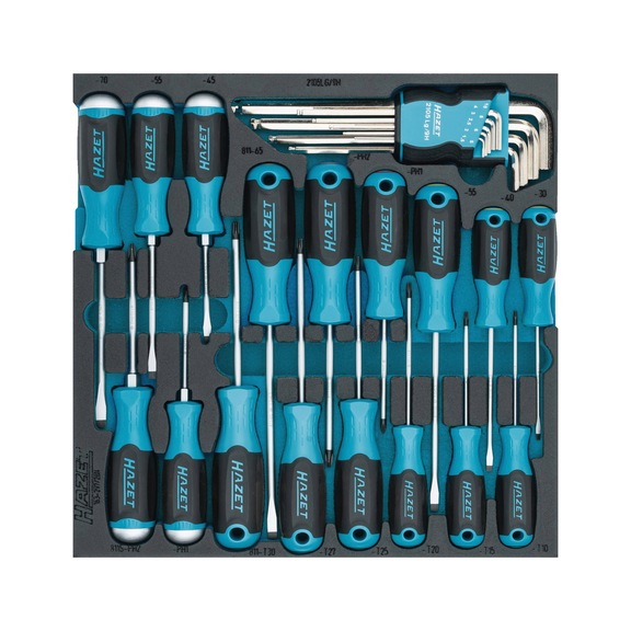 HAZET Screwdriver set 163-297/26N, 26-piece - Tool assortment