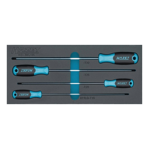 HAZET Schraubendreher Satz TX 163-380/4N Innen TX Profil 4-teilig T15 T20 T25 T30 - Werkzeugsortiment