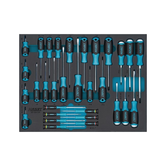 HAZET Screwdriver set 163-524/31N, 31-piece - Tool assortment