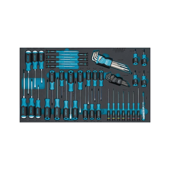 HAZET Screwdriver set 163-527/56N, 56-piece - Tool assortment