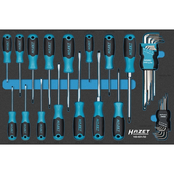 HAZET Screwdriver set 163-631/32, 32-piece - Tool assortment
