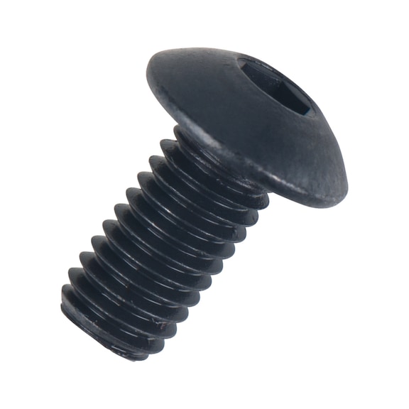 Screw M5x10 - Screw, nut (other)