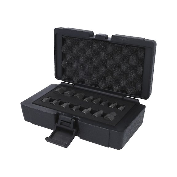 Spiral screw and bolt extractor set, 15-piece - Extraction tool, extractor (other)