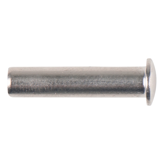 Rivet 150.2039-R001P - Special tools for motor vehicles