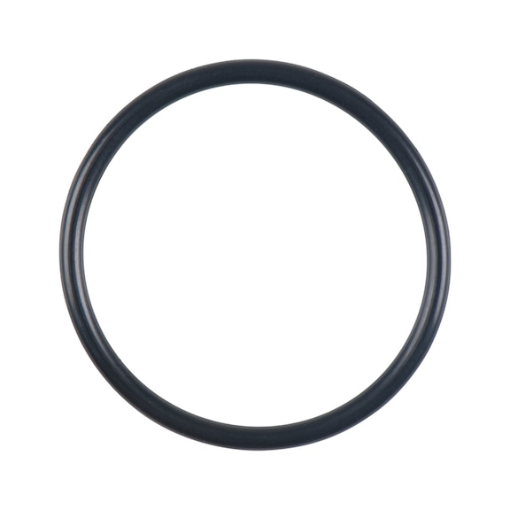 O-ring 150.2039-R012P - O-ring